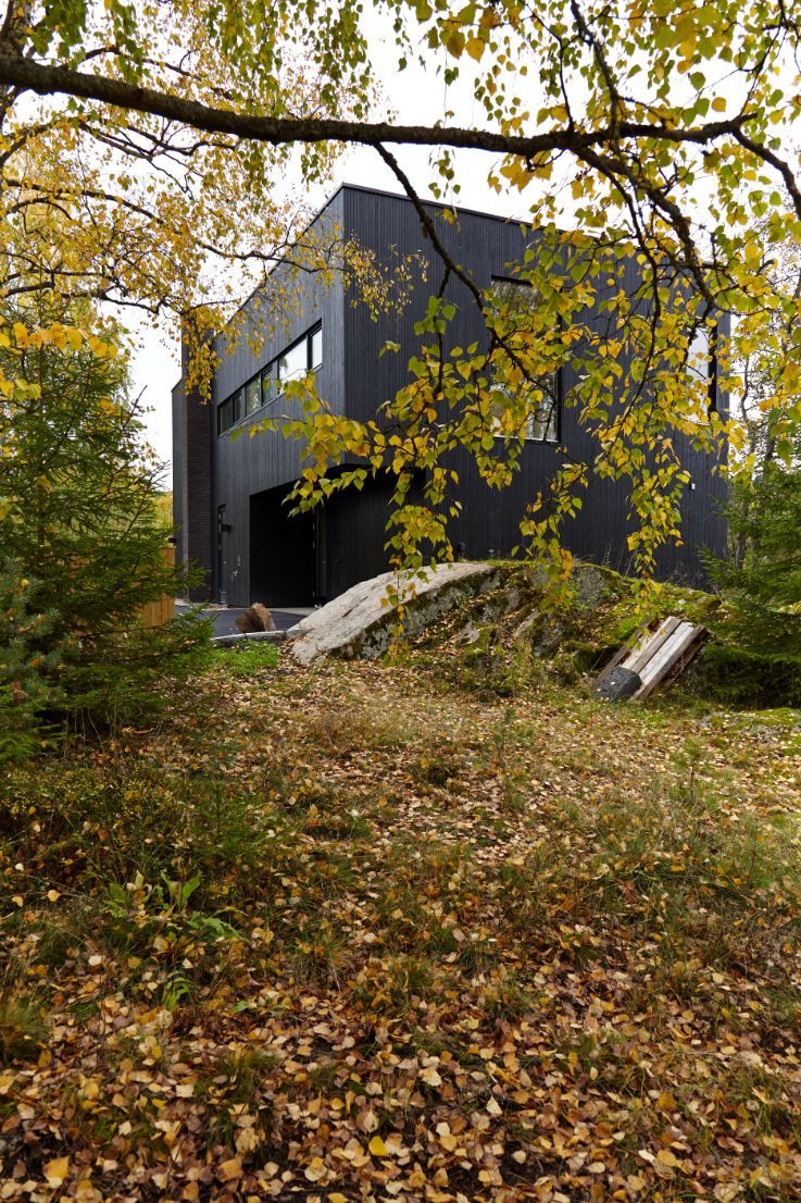 Hus omringet av skog